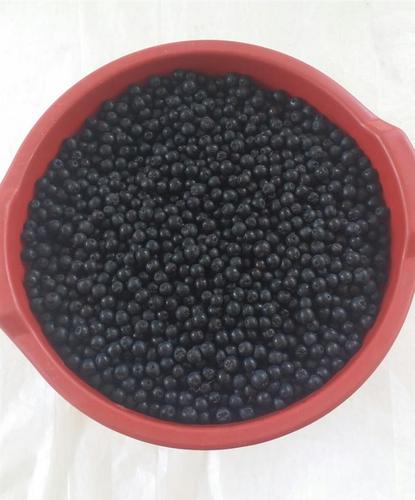 Aronia