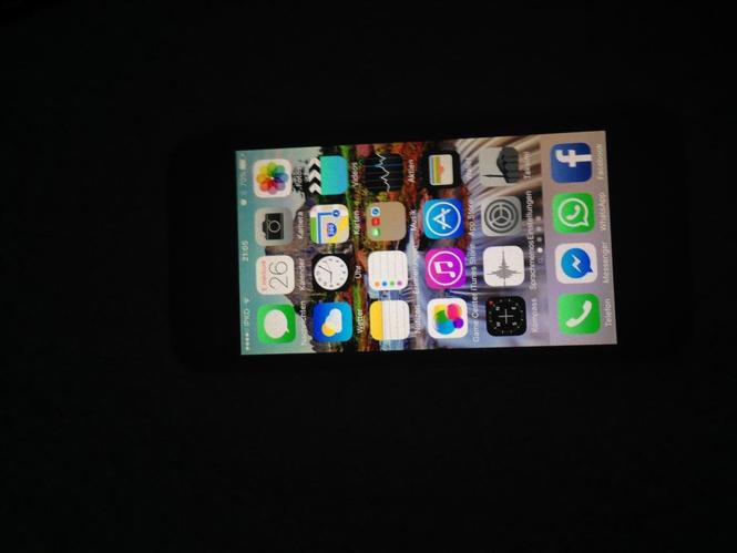 iPhone 5 