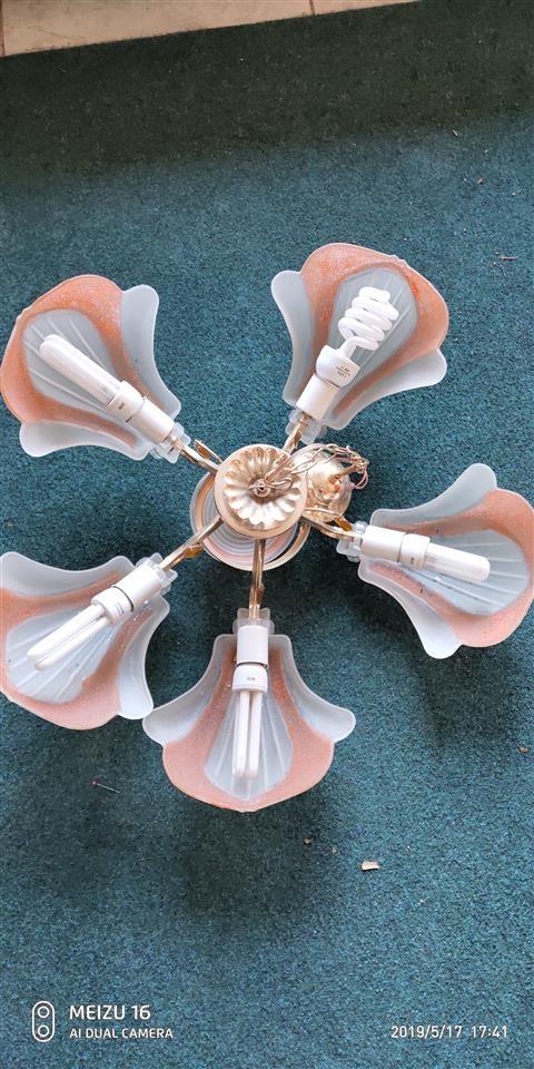 Llustera