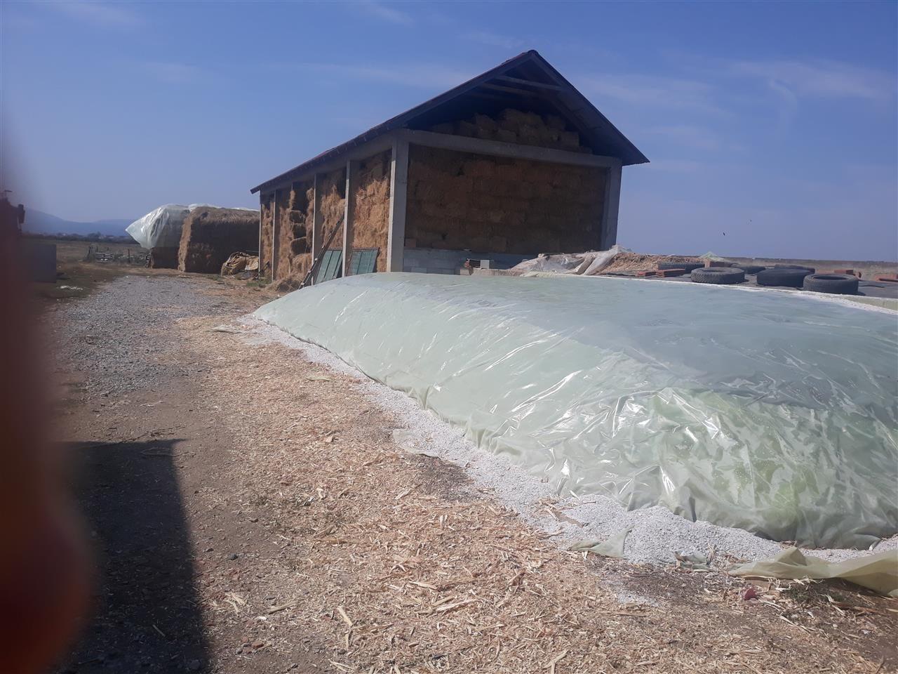 Kashtë