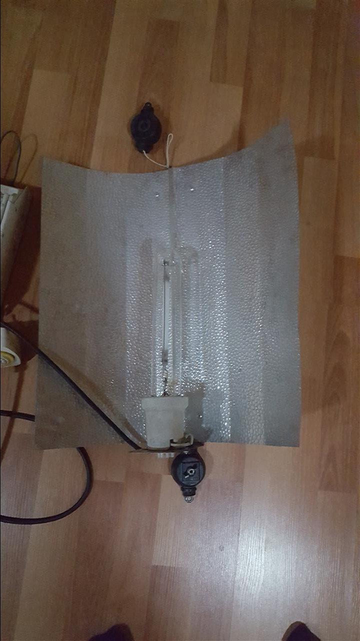 drit-per-sera-600w