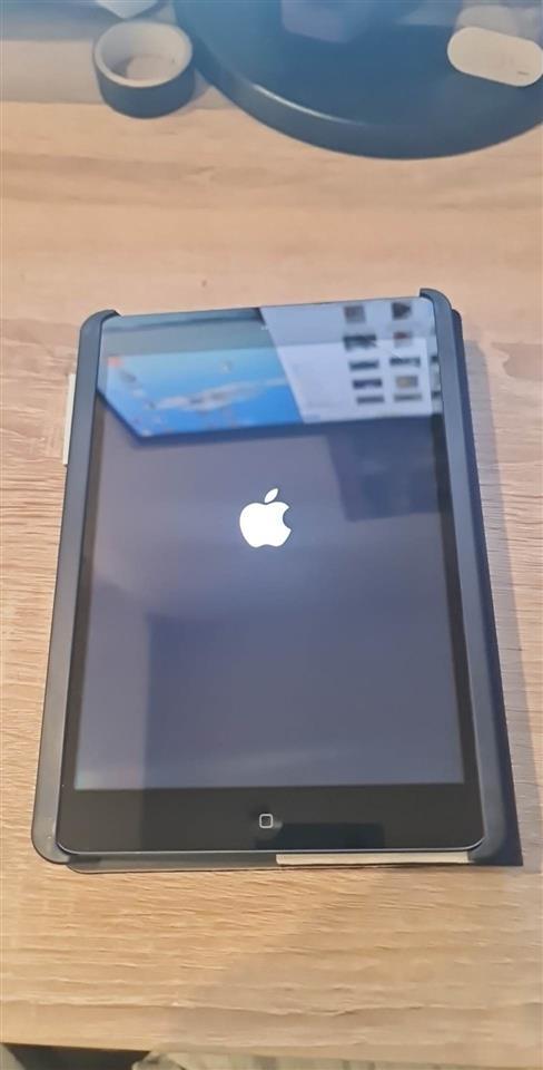 Ipad-Mini-