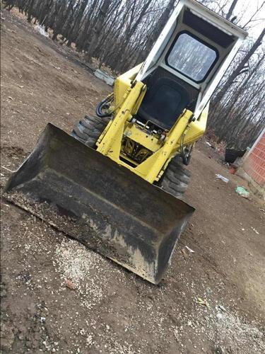 Bobcat 