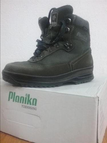 Planika