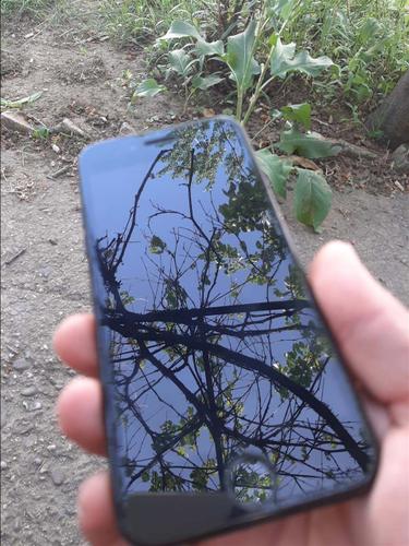 Shes iphone 7 
