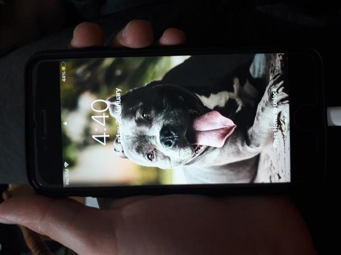 Iphone 7