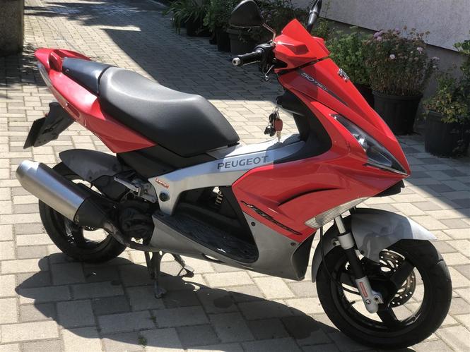 Motor