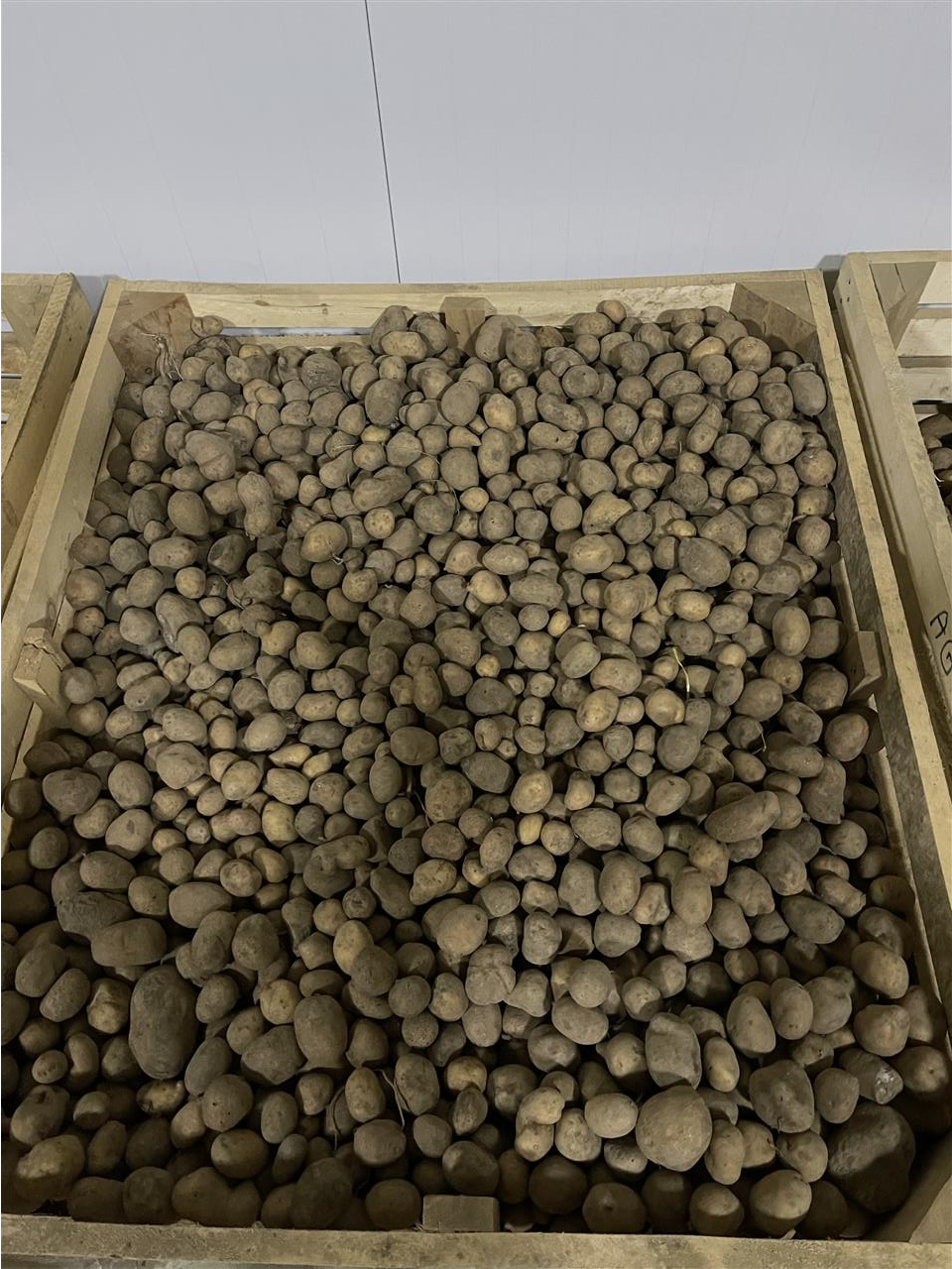 Shitet-far-e-patates-