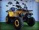 Motorr ATV Quad Kuad 250 CC