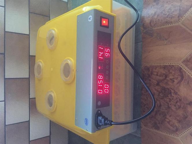 Inkubator