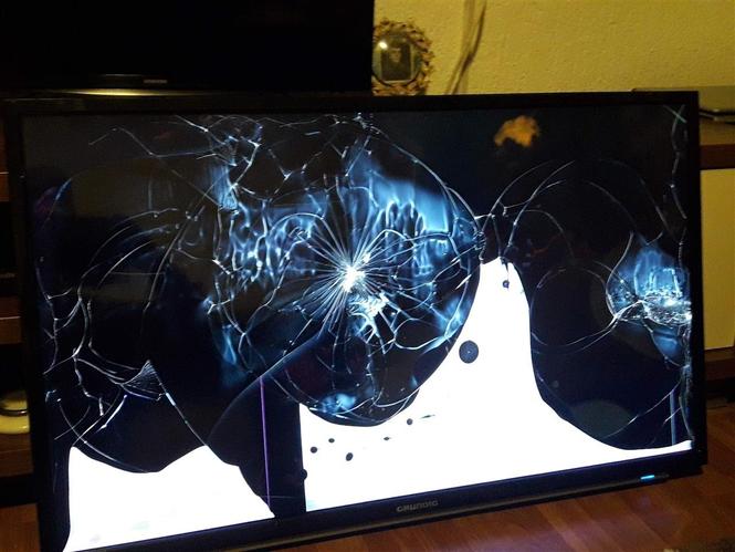 Shes  tv  