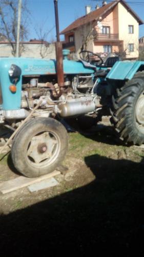 rakovic65