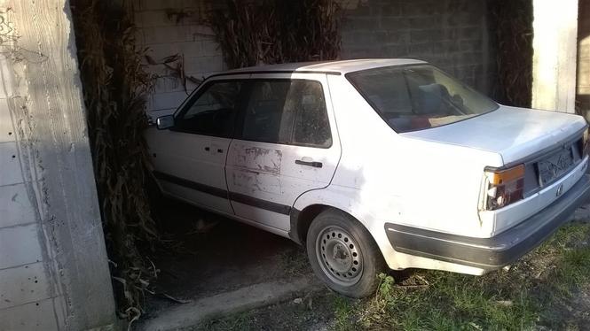 jetta
