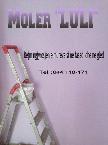 MOLER LULI 