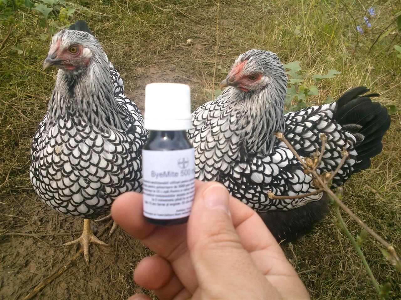Bayer-ByeMite--Vasi-Pipe-Tekuti