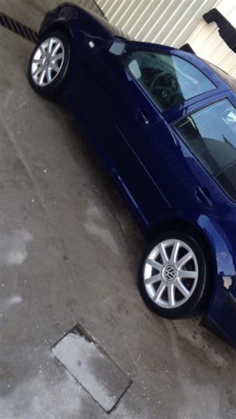 Fellne-17-
