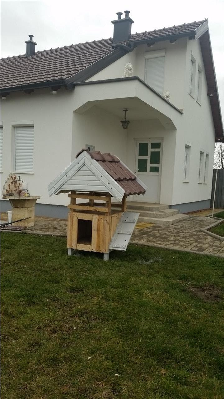 Pikinez