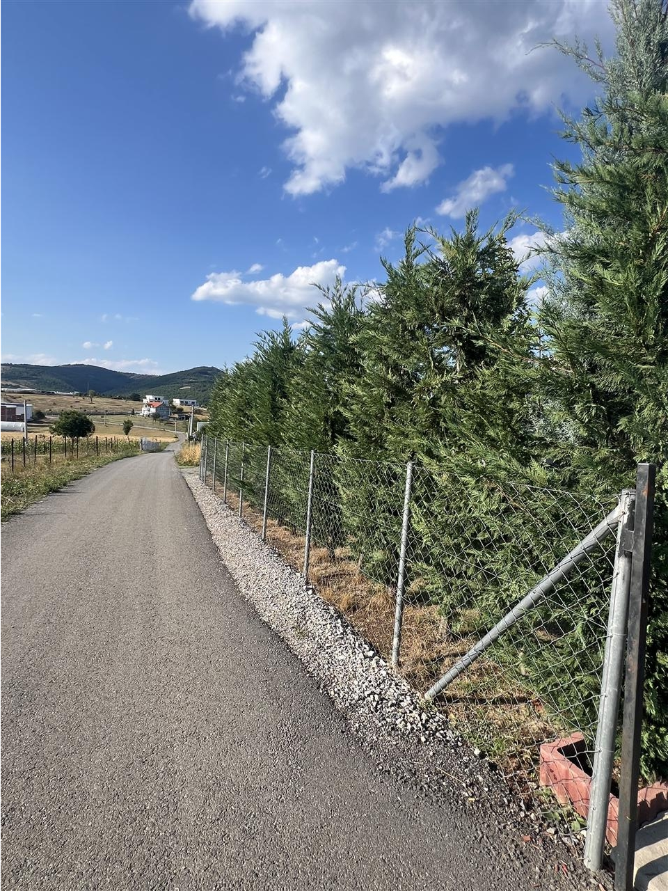 Shiten-2-villa-te-gatshme-per-banim-afer-Valit-Ranch
