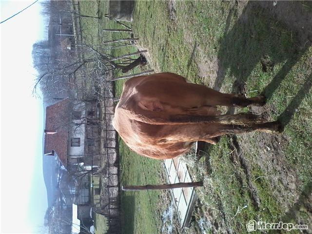 Lope-