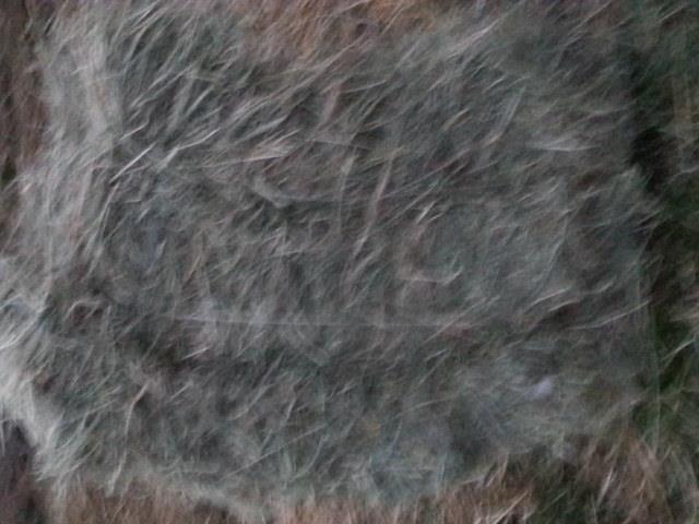 Duj