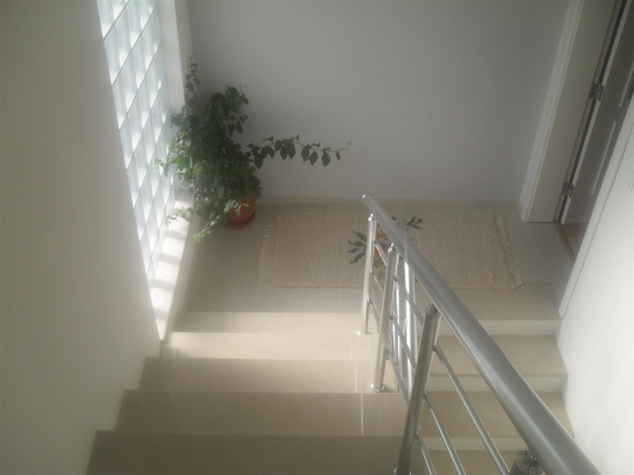Shtëpia-në-Sofali