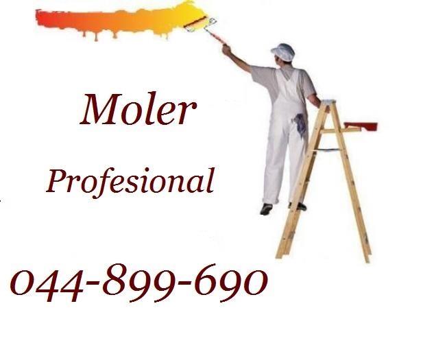 Moler-Profesional