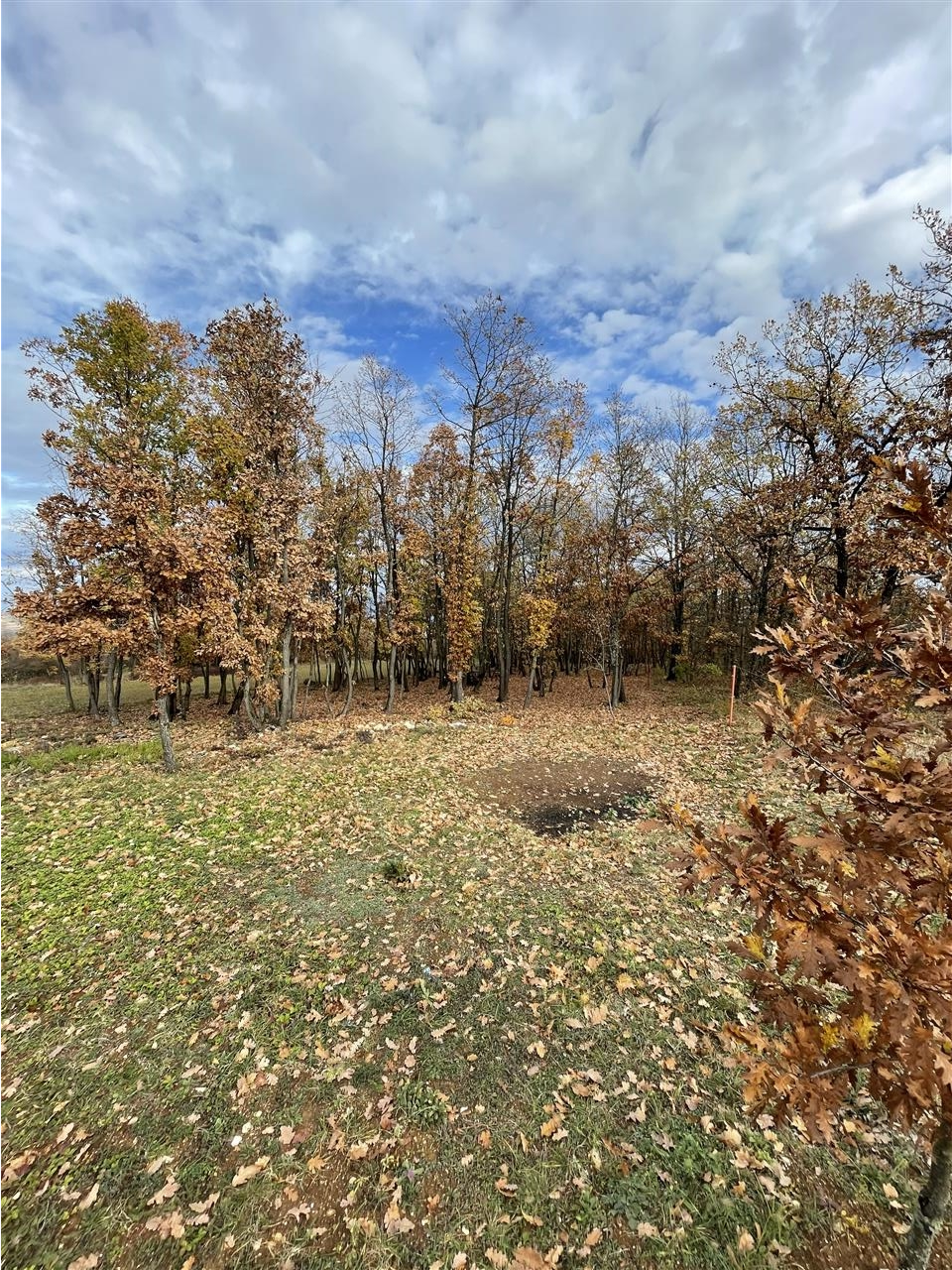 Vend-per-vila-Vali-ranch-