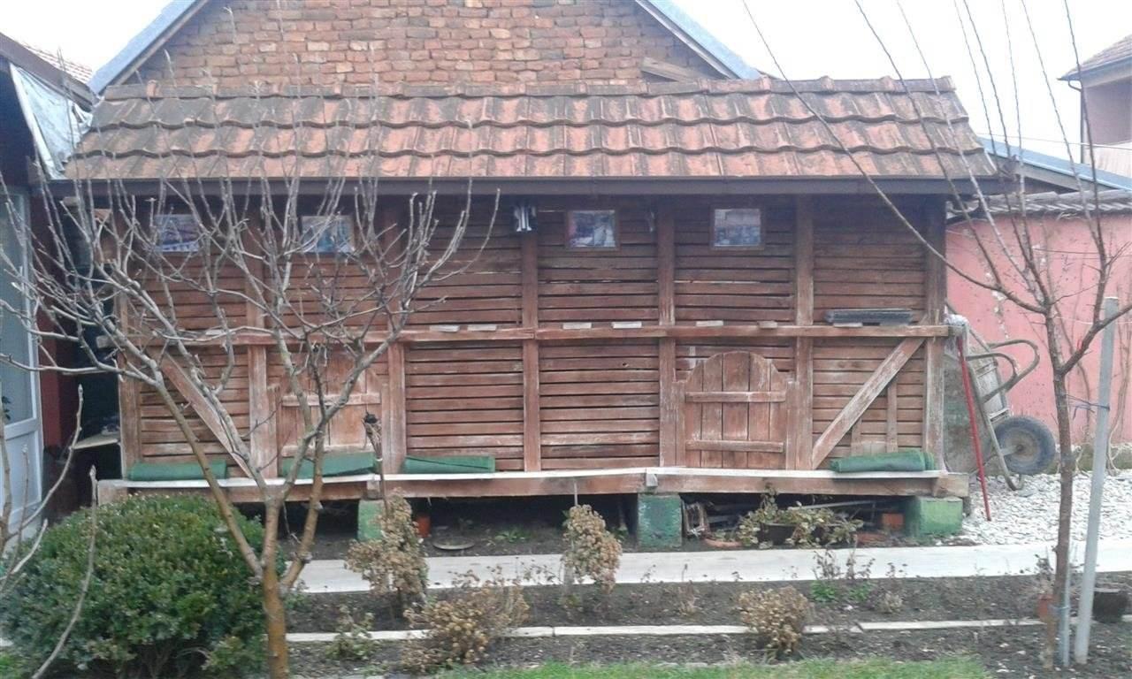 Hamari