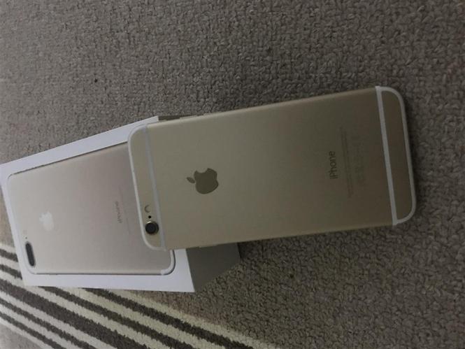 Shes iphone 6
