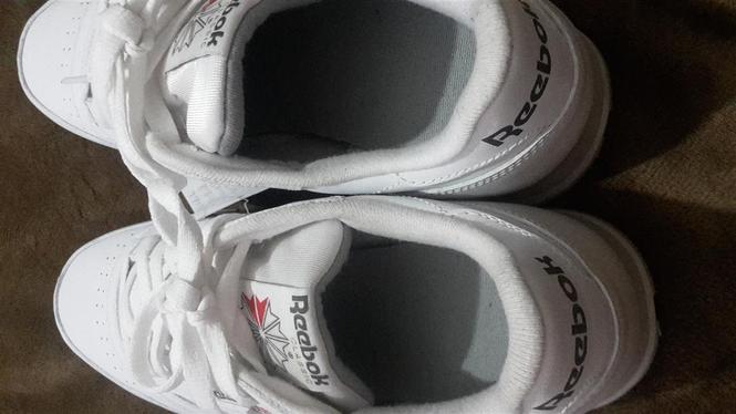 Reebok  clasic  43