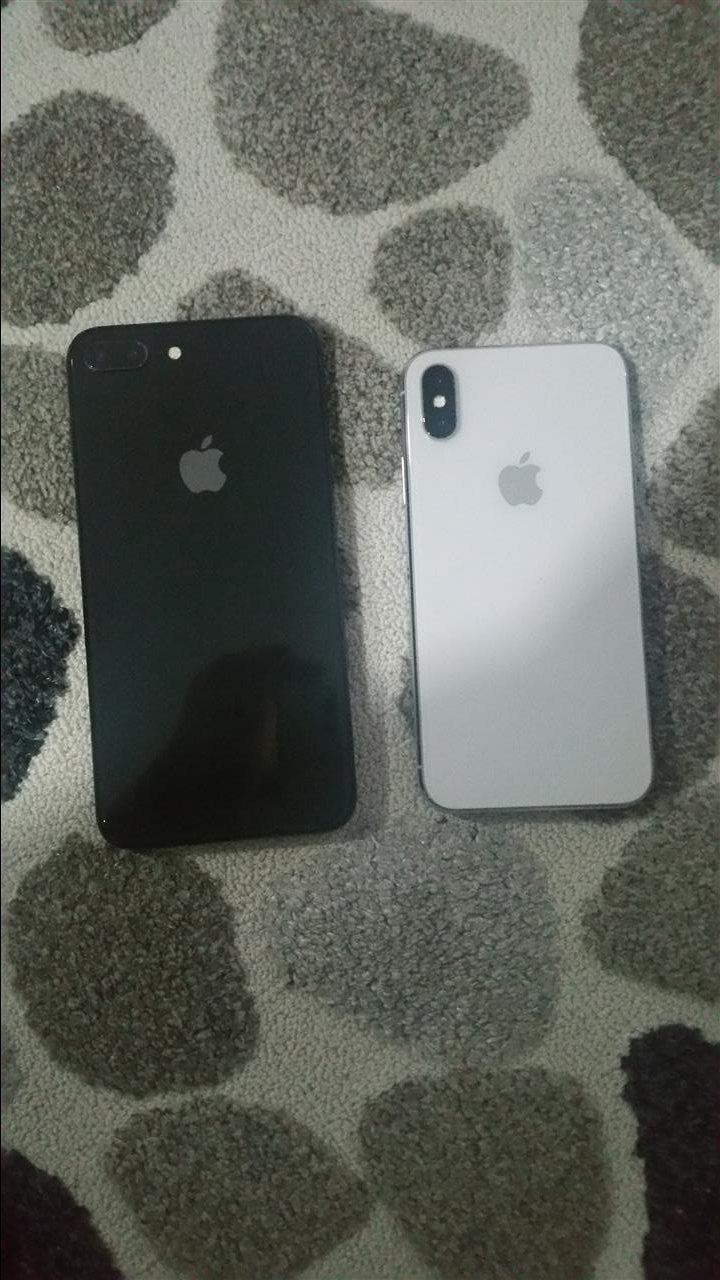 Shiten-iphonat-