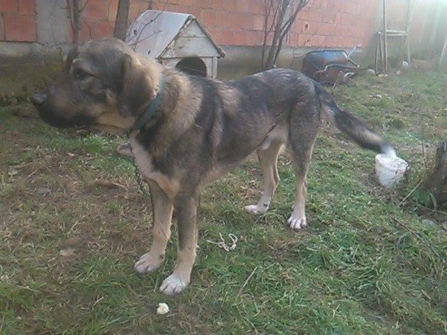 Qen