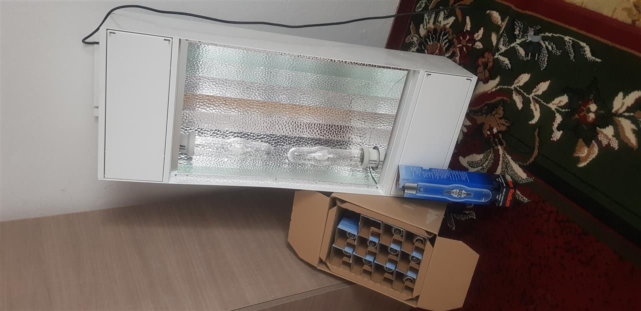 reflektor