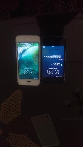 iPhone 5 
