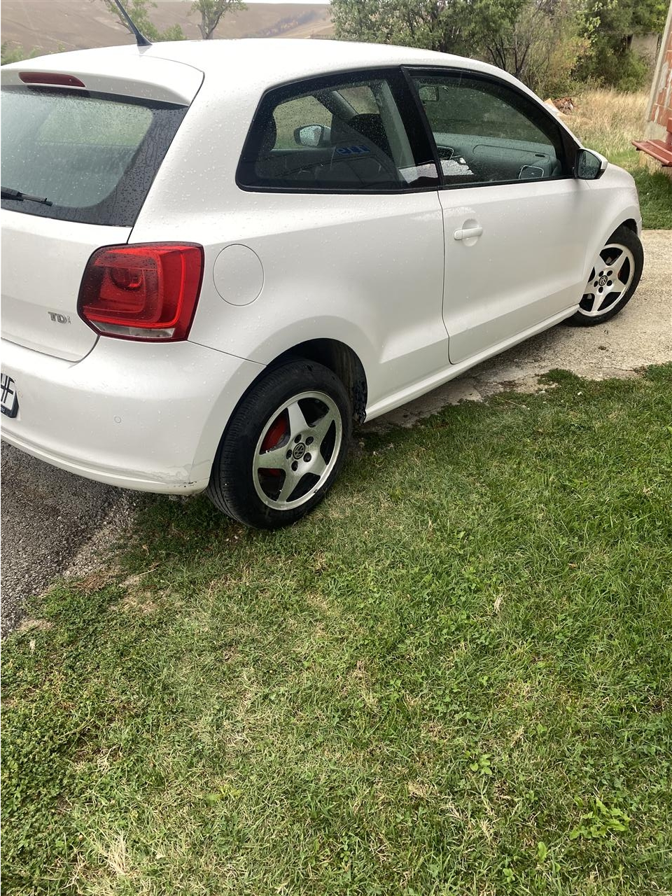Shitet-polo