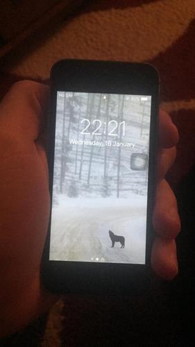 IPhone 5s