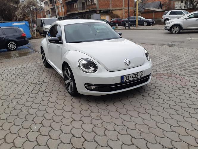 Beetle