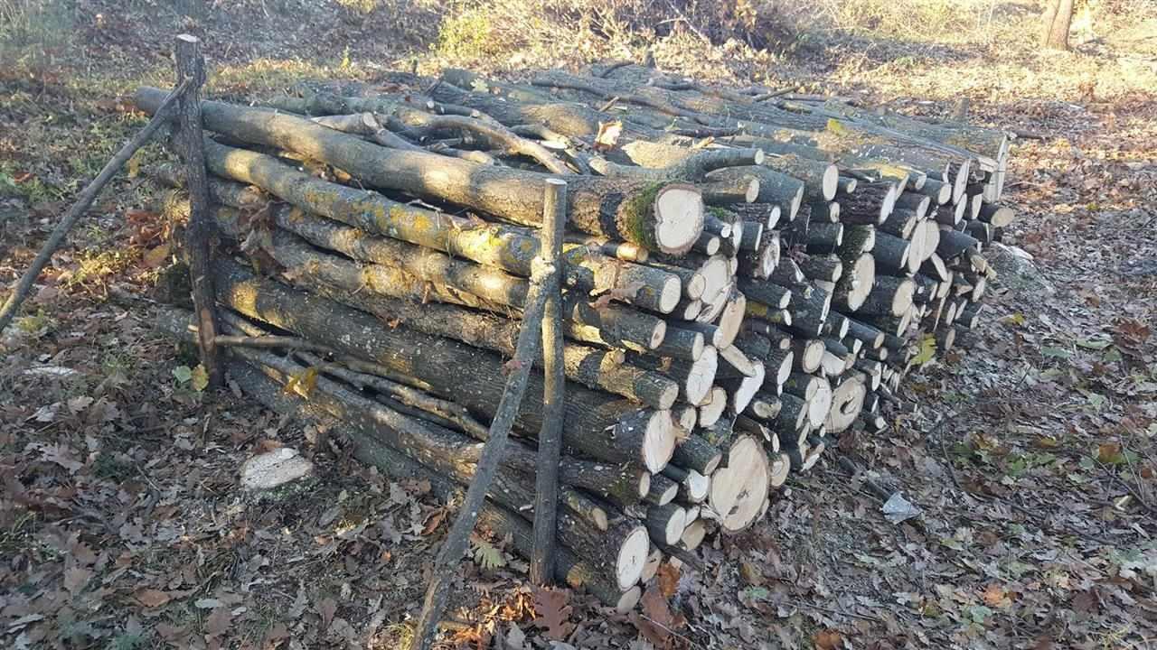 Shiten-Drut--