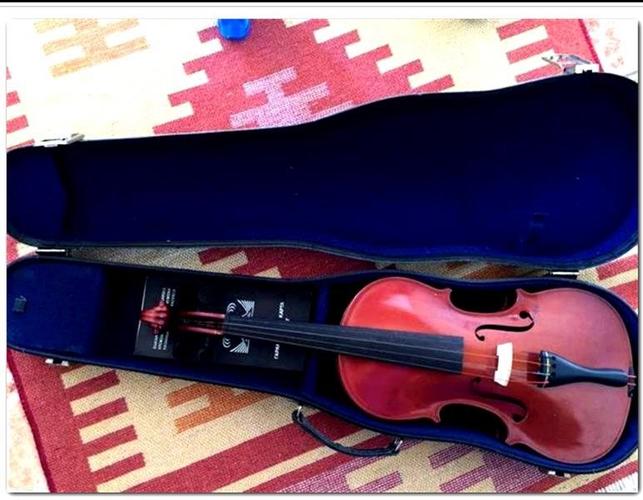 Violin 4x4