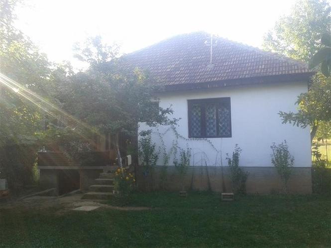 shtepi