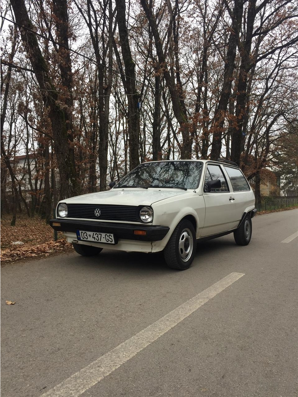 Polo