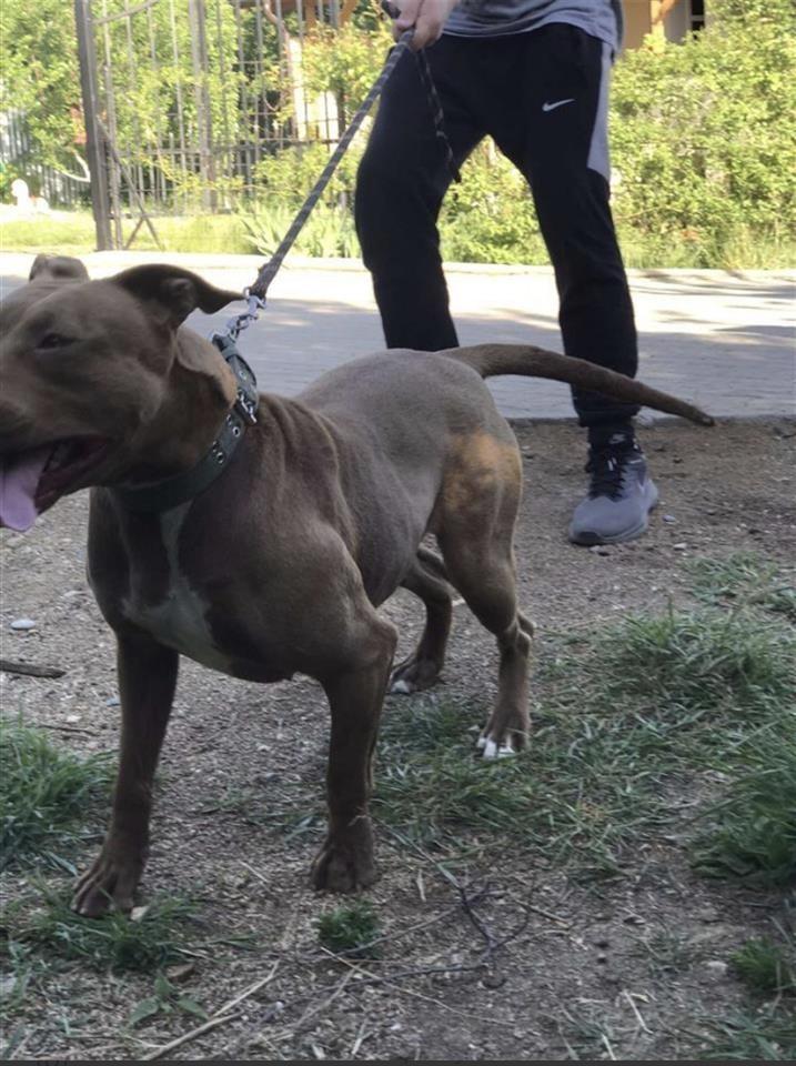 pit