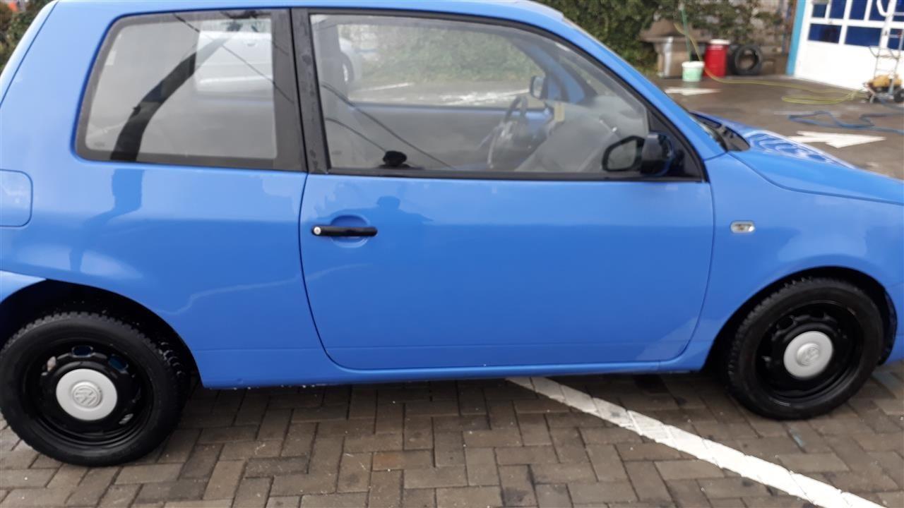 Lupo