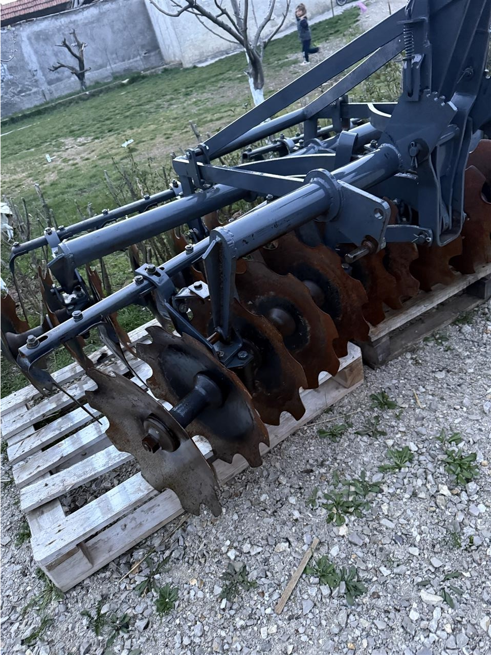 Tanira-me-6