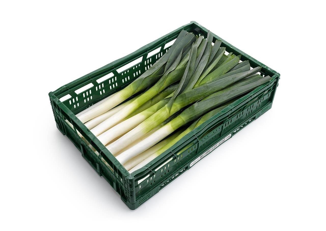 Gajbe-
