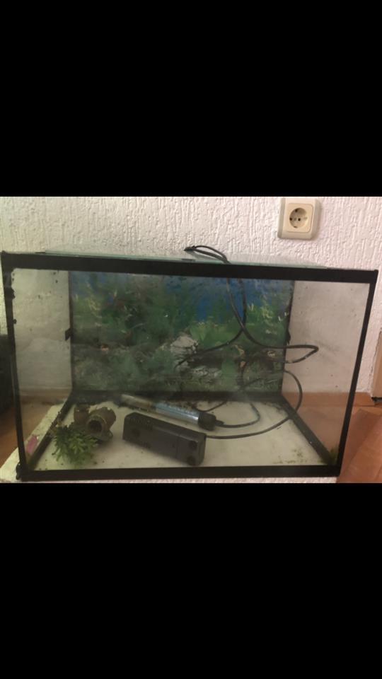 Akuarium