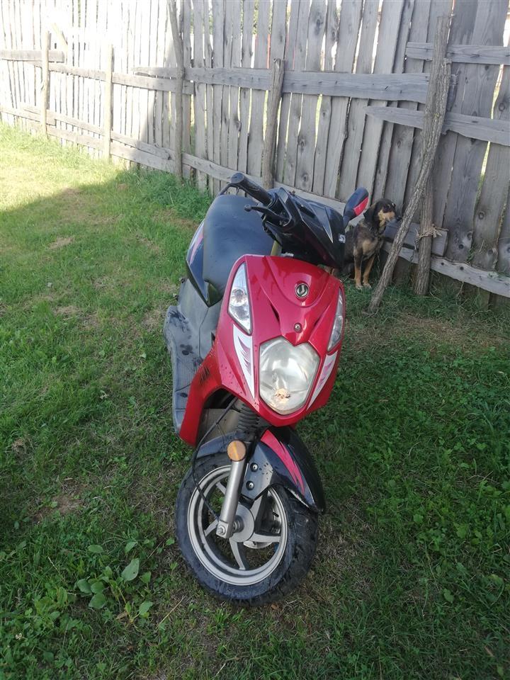 Motor