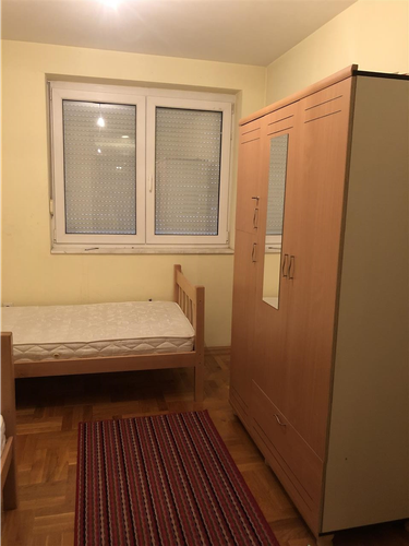 Kerkoj cimere femer