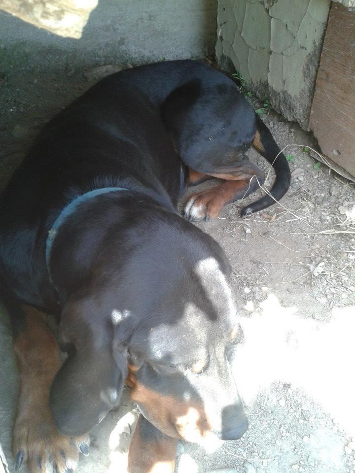 Zagar