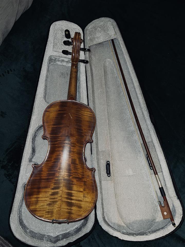 Violine-